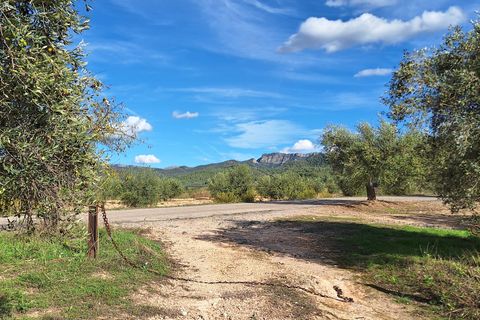 Finca i Tivissa, Tarragona, Tivissa - € 98 000 | Ref: CC833 - foto 19